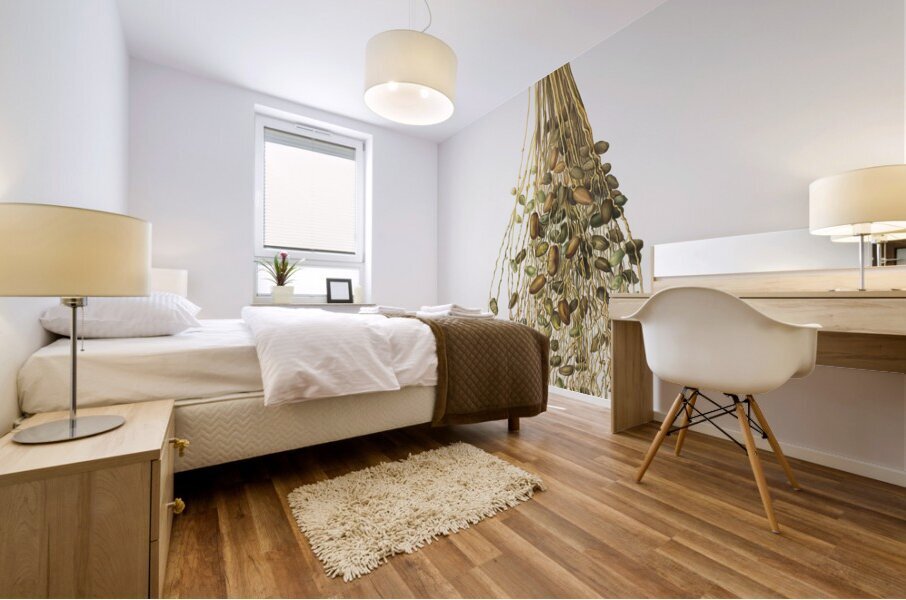 Normal Spadice of the palm Phoenix dactylifera from Pomona Italiana 1817 - 1839 by Giorgio Gallesio 1772-1839.  Mural print