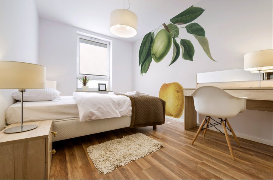 Apple Malus pumila from Pomona Italiana 1817 - 1839 by Giorgio Gallesio 1772-1839.  Mural print