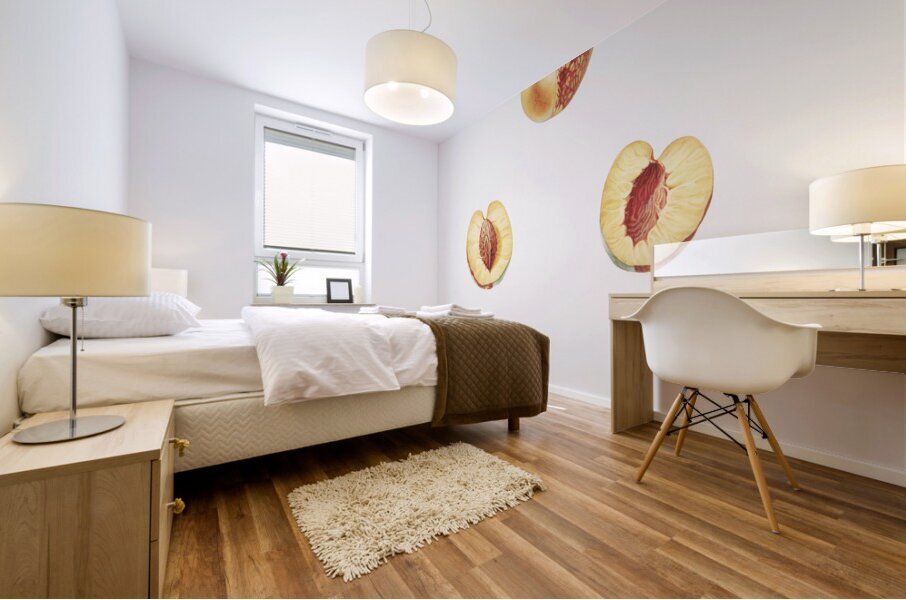 Nectarine Malus persica hybrida from Pomona Italiana 1817 - 1839 by Giorgio Gallesio 1772-1839.  Mural print