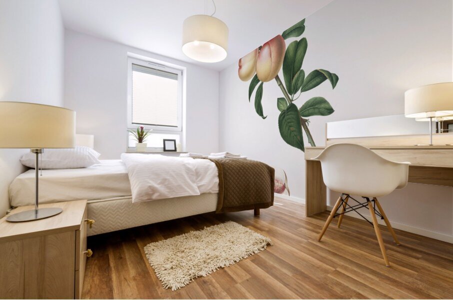 White walnut Persica psillidermis from Pomona Italiana 1817 - 1839 by Giorgio Gallesio 1772-1839.  Mural print