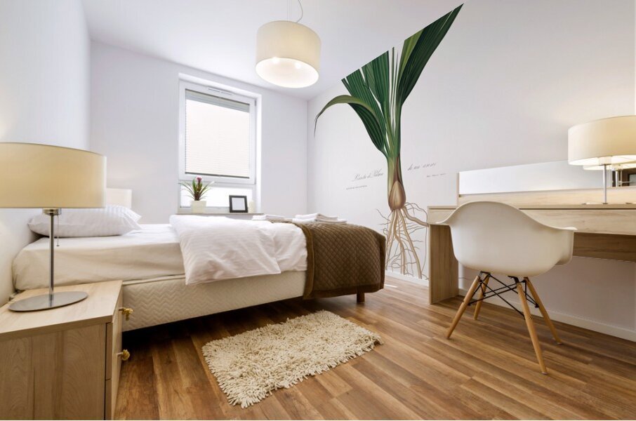 Date Palm Tree Phoenix dactylifera from Pomona Italiana 1817 - 1839 by Giorgio Gallesio 1772-1839.  Mural print