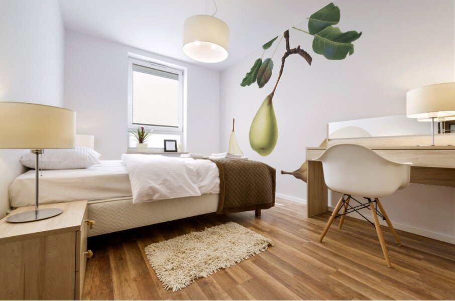 Pear Pyrus communis from Pomona Italiana 1817 - 1839 by Giorgio Gallesio 1772-1839.  Mural print