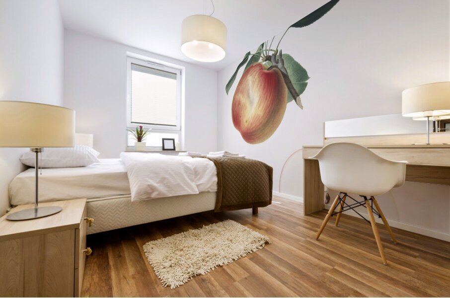 Apple Malus domestica from Pomona Italiana 1817 - 1839 by Giorgio Gallesio 1772-1839.  Mural print