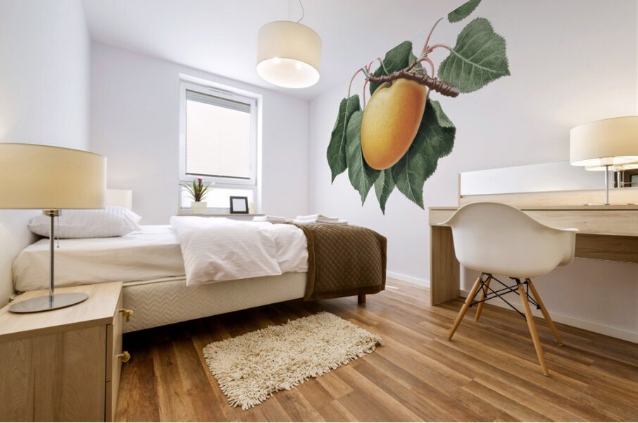 Apple Malus domestica from Pomona Italiana 1817 - 1839 by Giorgio Gallesio 1772-1839.  Mural print