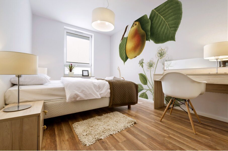 Pear Pyrus Pompeiana from Pomona Italiana 1817 - 1839 by Giorgio Gallesio 1772-1839.  Mural print