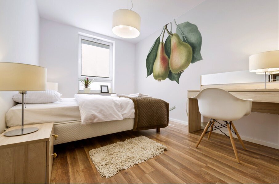 Pear Pyrus Perla from Pomona Italiana 1817 - 1839 by Giorgio Gallesio 1772-1839.  Mural print