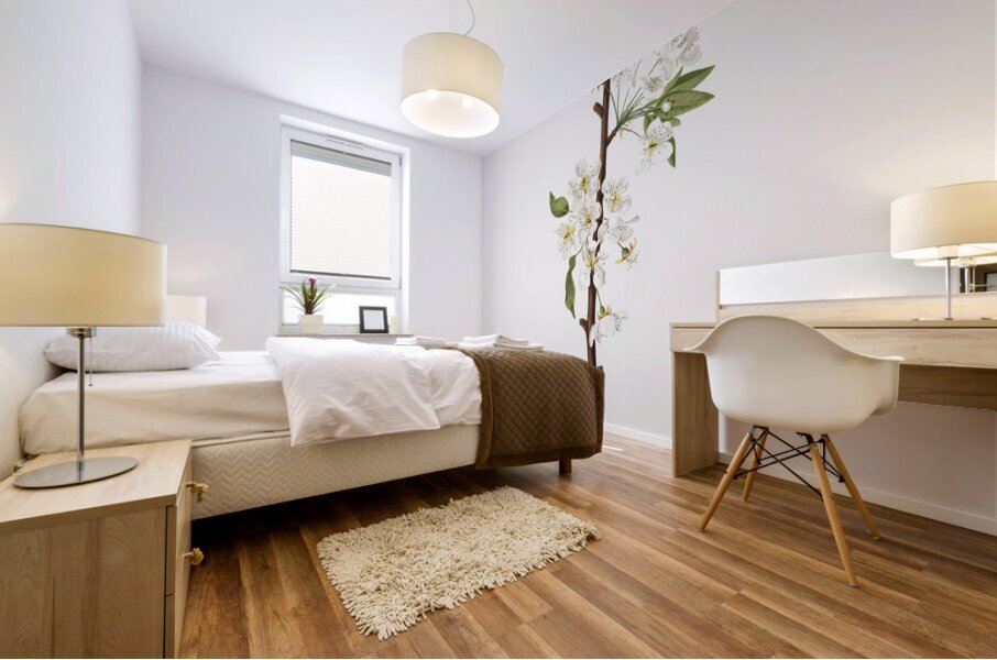 Musky pear flower Pyrus × bretschneideri from Pomona Italiana 1817 - 1839 by Giorgio Gallesio 1772-1839.  Mural print