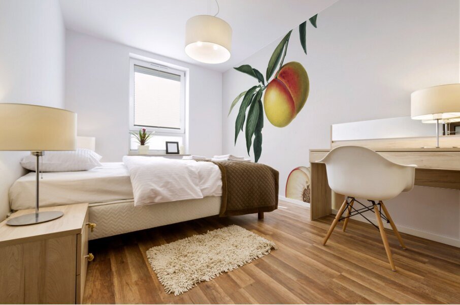 Peach Persica julodermis from Pomona Italiana 1817 - 1839 by Giorgio Gallesio 1772-1839.  Mural print