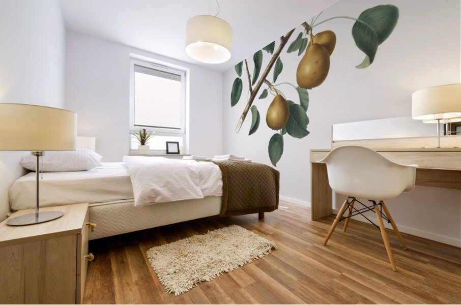 Seckel pear Pyrus × serrulata from Pomona Italiana 1817 - 1839 by Giorgio Gallesio 1772-1839.  Mural print