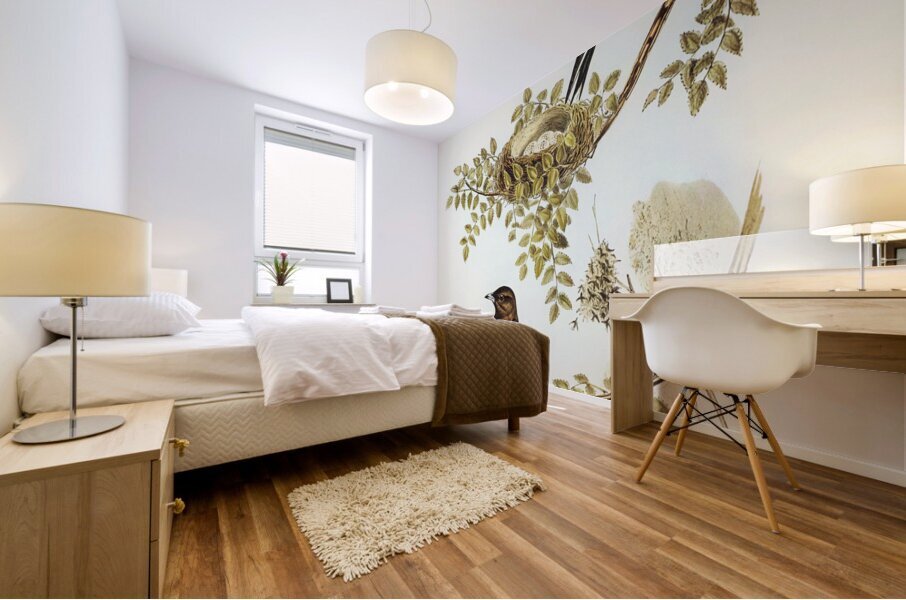 Wood Swallow Artamus sordid illustrated by Elizabeth Gould 1804–1841 for John Gould’s 1804-1881 Birds of Australia  Mural print