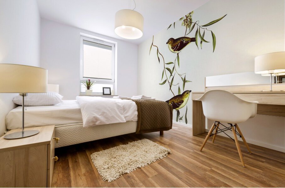 Forty-spotted Pardalote Pardalotus quadragintus illustrated by Elizabeth Gould 1804–1841 for John Gould’s 1804-1881 Birds of Australia  Mural print