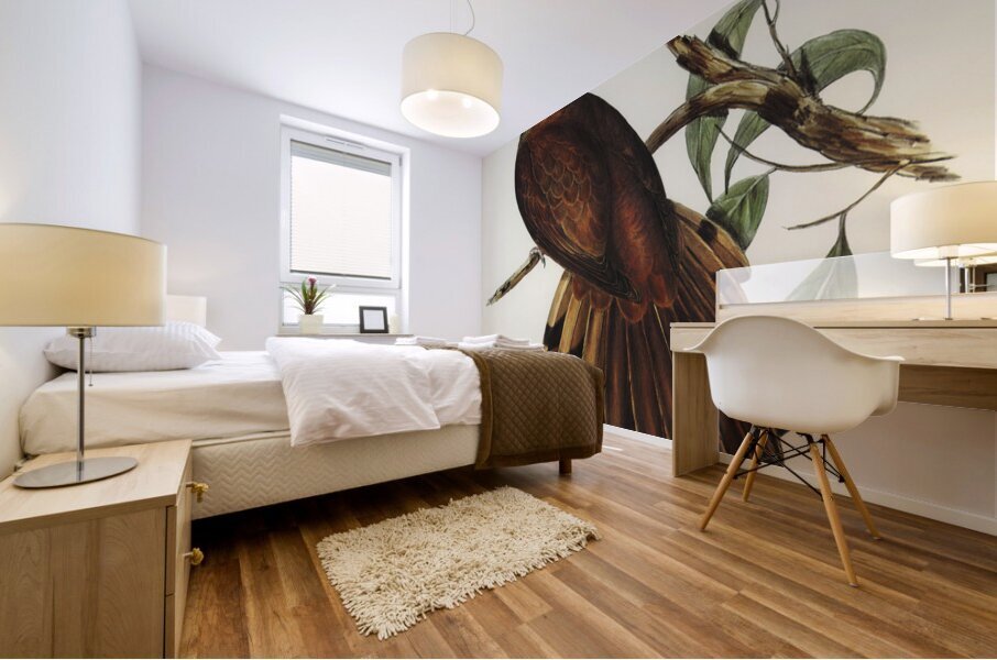 Pheasant-tailed Pigeon Macropygia Phasianella illustrated by Elizabeth Gould 1804–1841 for John Gould’s 1804-1881 Birds of Australia  Mural print