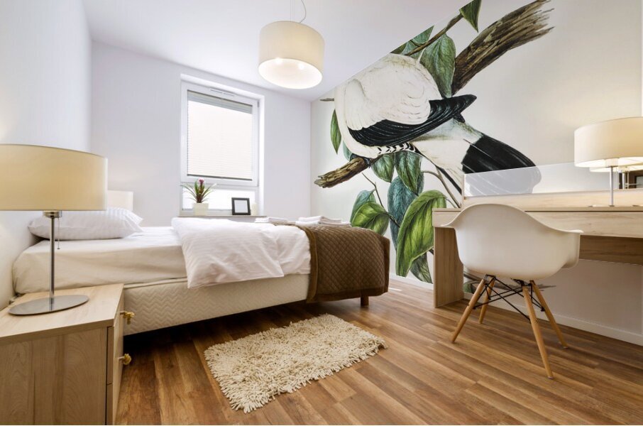 Torres Strait Fruit Pigeon Carpophaga luctuosa illustrated by Elizabeth Gould 1804–1841 for John Gould’s 1804-1881 Birds of Australia  Mural print