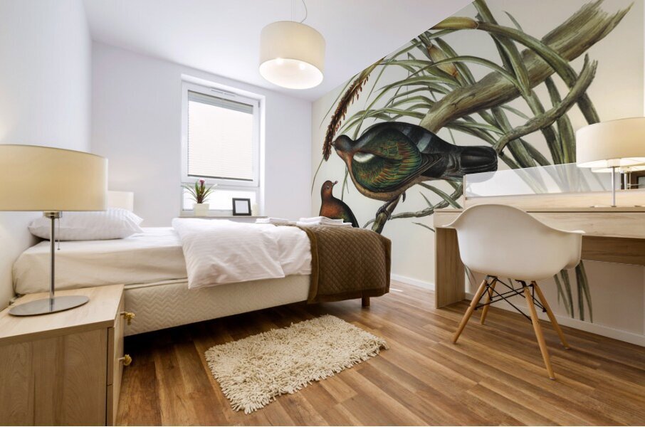 Swainson’s Graucalus Graucalus Swainsonii illustrated by Elizabeth Gould 1804–1841 for John Gould’s 1804-1881 Birds of Australia  Mural print