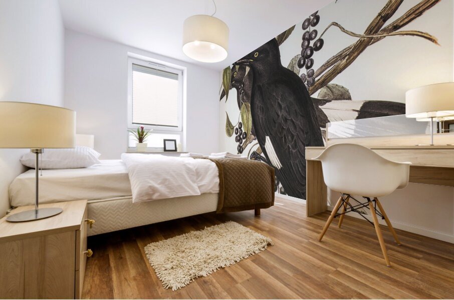 Great Crow-Shrike Strepera graculina illustrated by Elizabeth Gould 1804–1841 for John Gould’s 1804-1881 Birds of Australia  Mural print