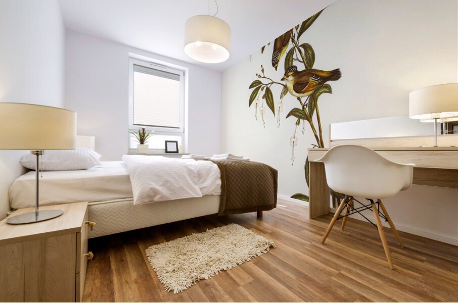 Red-lored Pardalote Pardalotus rubricatus illustrated by Elizabeth Gould 1804–1841 for John Gould’s 1804-1881 Birds of Australia  Mural print