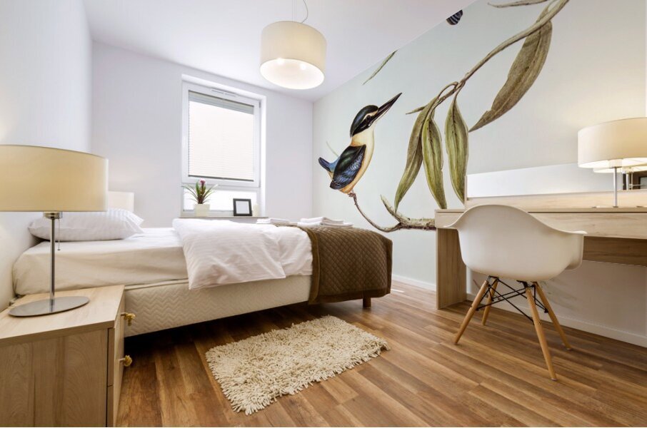 Sacred Halcyon Halcyon sanctus illustrated by Elizabeth Gould 1804–1841 for John Gould’s 1804-1881 Birds of Australia  Mural print