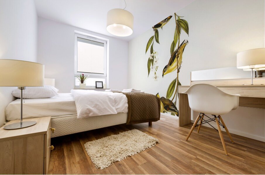 Striated Pardalote Pardalotus striatus illustrated by Elizabeth Gould 1804–1841 for John Gould’s 1804-1881 Birds of Australia  Mural print