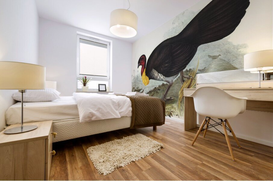 Brush turkey Talegalla Lathamii illustrated by Elizabeth Gould 1804–1841 for John Gould’s 1804-1881 Birds of Australia  Mural print