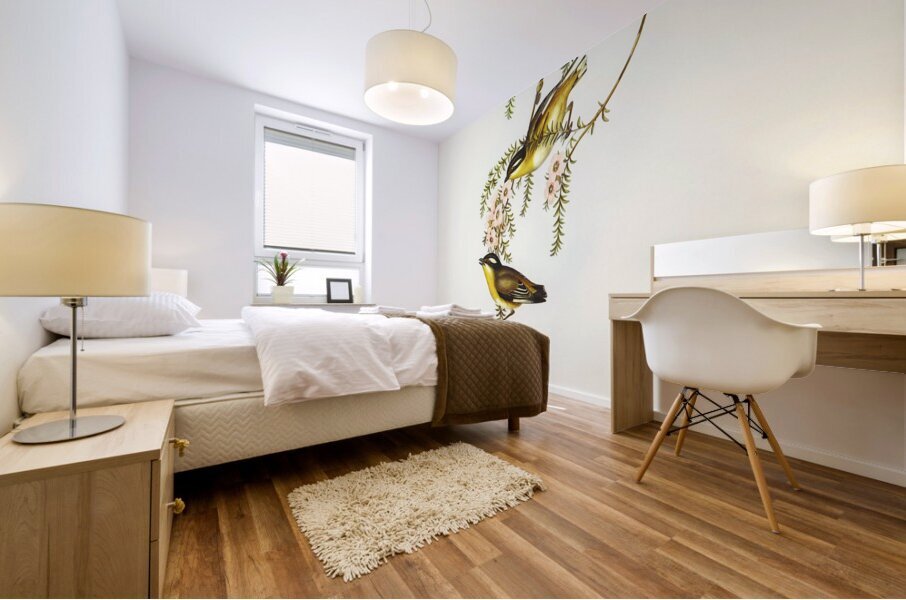 Black-headed Pardalote Pardalotus melanocephalus illustrated by Elizabeth Gould 1804–1841 for John Gould’s 1804-1881 Birds of Australia  Mural print