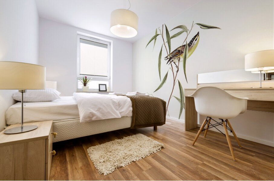 Allied Pardalote Pardalotus affines illustrated by Elizabeth Gould 1804–1841 for John Gould’s 1804-1881 Birds of Australia  Mural print