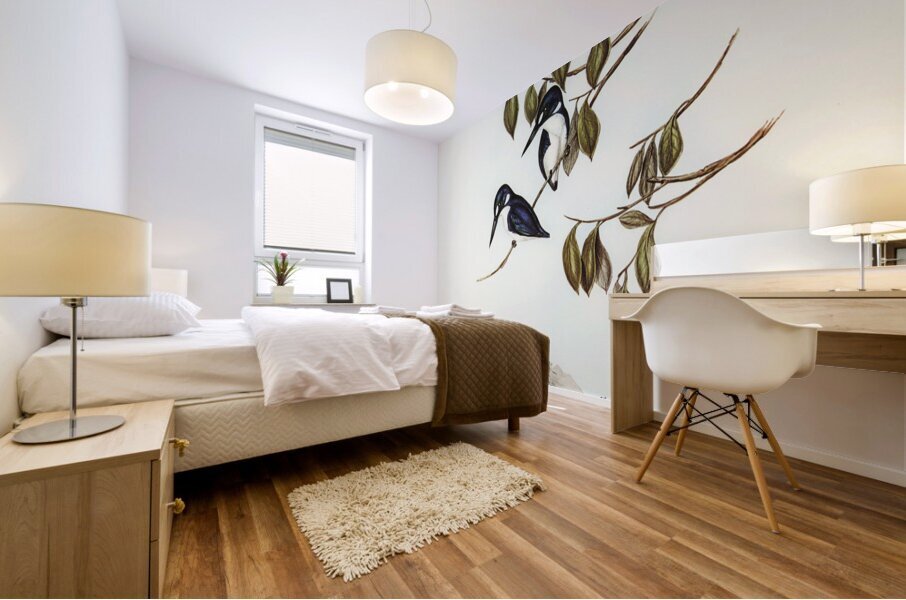 Little Kingfisher Alcyone pasilla illustrated by Elizabeth Gould 1804–1841 for John Gould’s 1804-1881 Birds of Australia  Mural print