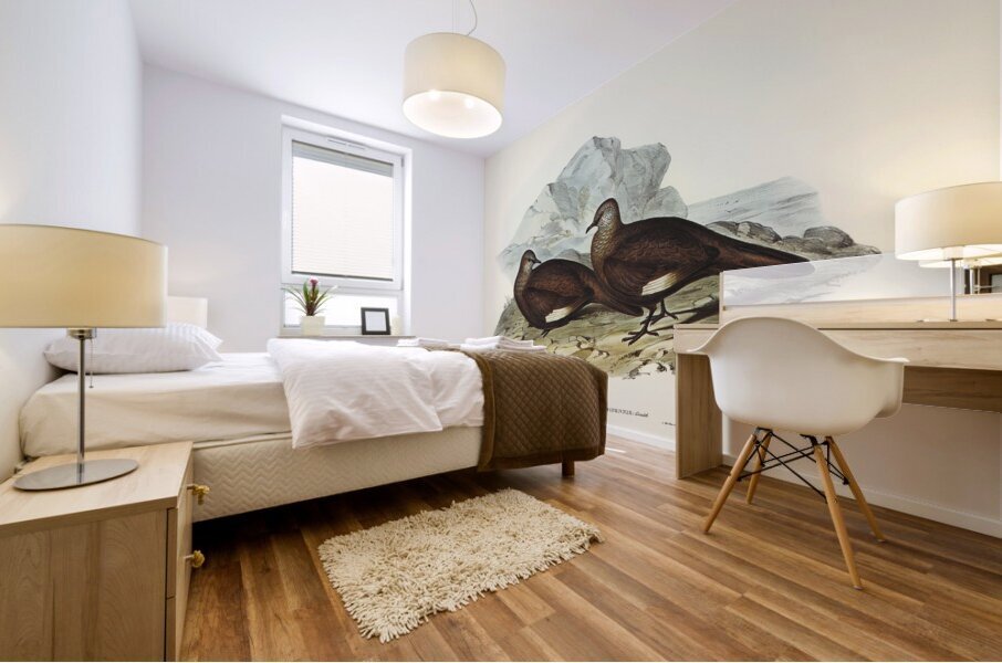 White-quilled Rock Dove Petrophassa albipennis illustrated by Elizabeth Gould 1804–1841 for John Gould’s 1804-1881 Birds of Australia  Mural print