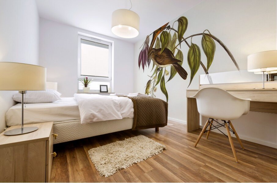 Red-throated Pachycephala Pachycephala rufogularis illustrated by Elizabeth Gould 1804–1841 for John Gould’s 1804-1881 Birds of Australia  Mural print