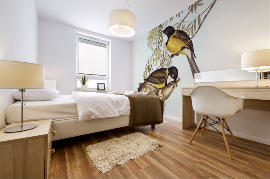 Blue Shining Flycatcher Piezorhynchus nitidus illustrated by Elizabeth Gould 1804–1841 for John Gould’s 1804-1881 Birds of Australia  Mural print