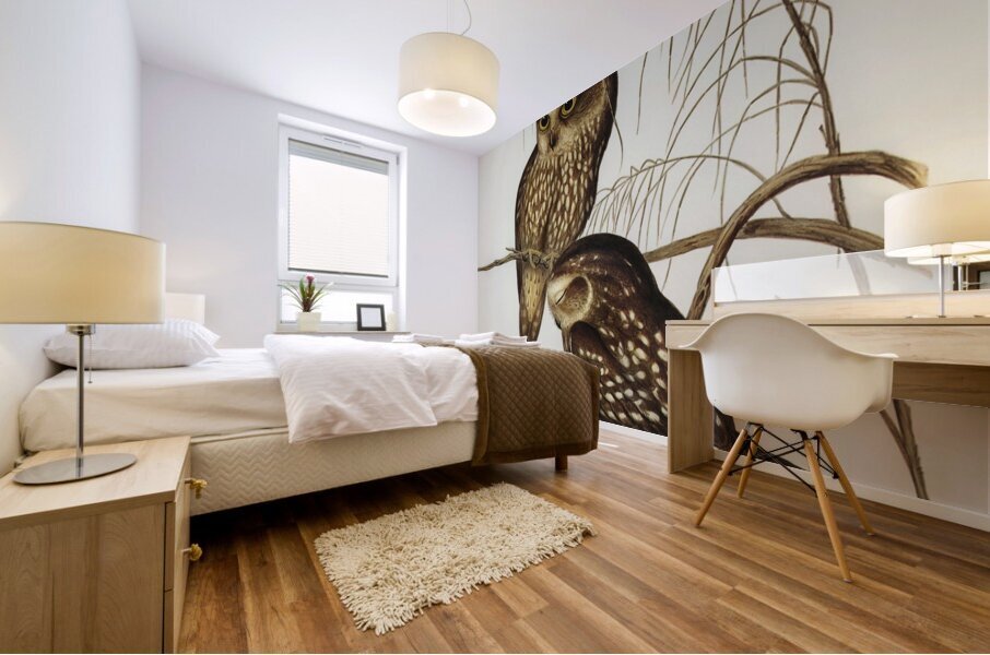 Spotted Owl Athene maculate illustrated by Elizabeth Gould 1804–1841 for John Gould’s 1804-1881 Birds of Australia  Mural print