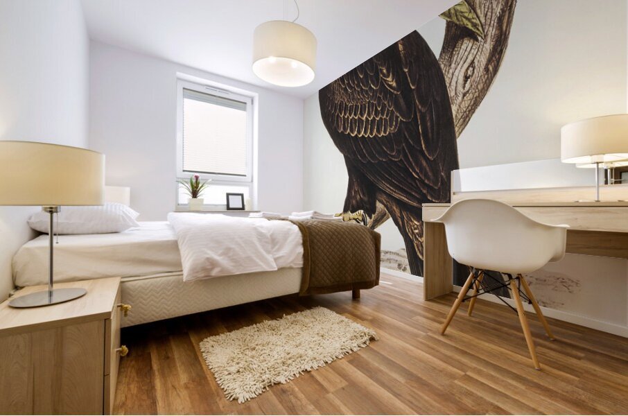 Wedge-tailed Eagle Aquila focosa illustrated by Elizabeth Gould 1804–1841 for John Gould’s 1804-1881 Birds of Australia  Mural print