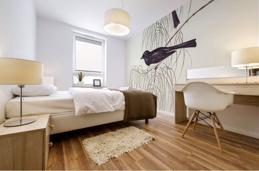 Shining Flycatcher Myiagra nitida illustrated by Elizabeth Gould 1804–1841 for John Gould’s 1804-1881 Birds of Australia  Mural print