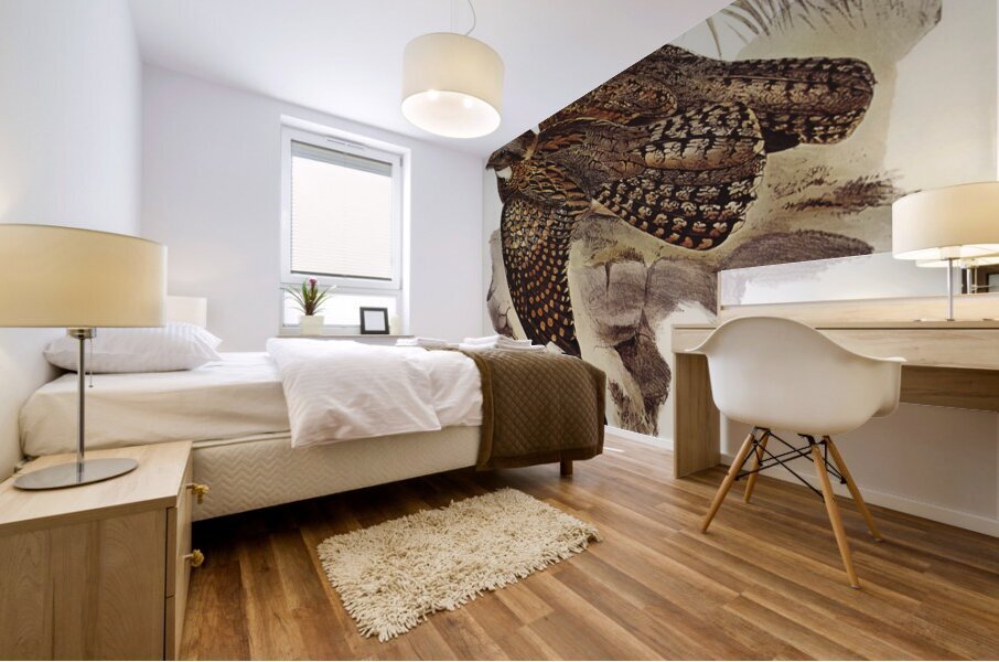 Spotted Goat-sucker Eurostopodus guttatus illustrated by Elizabeth Gould 1804–1841 for John Gould’s 1804-1881 Birds of Australia  Mural print