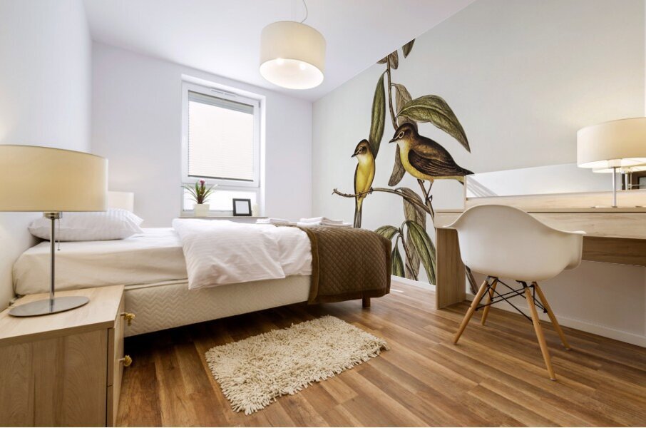 Yellow-bellied flycatcher Microeca flavigaster illustrated by Elizabeth Gould 1804–1841 for John Gould’s 1804-1881 Birds of Australia  Mural print