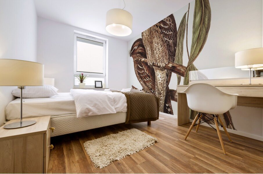 Black-Breasted Buzzard Buteo melanosternon illustrated by Elizabeth Gould 1804–1841 for John Gould’s 1804-1881 Birds of Australia  Mural print