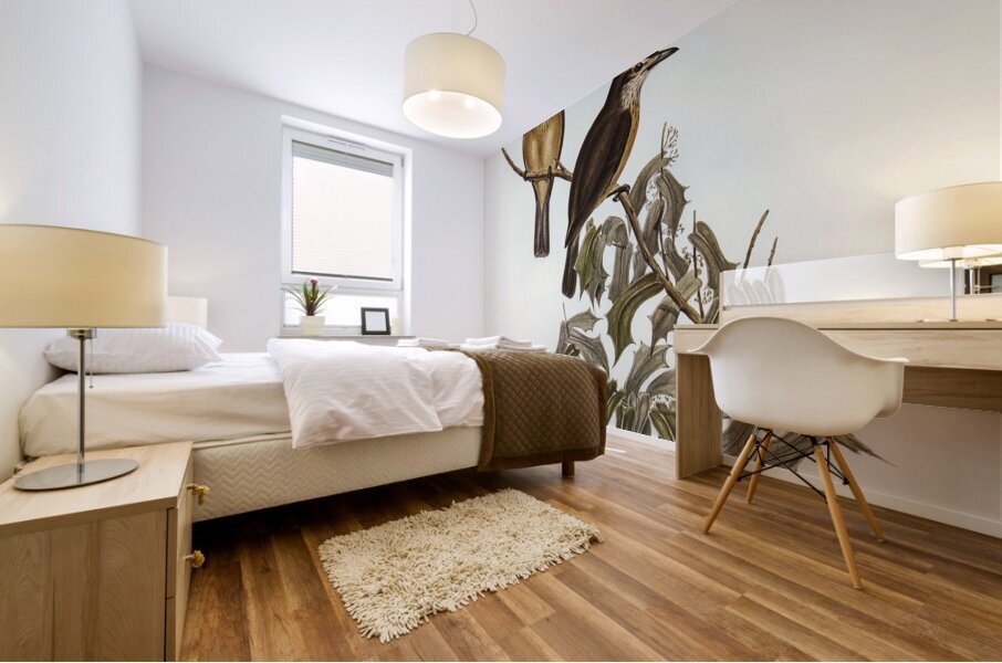 Little Colluricincla Colluricincla parvula illustrated by Elizabeth Gould 1804–1841 for John Gould’s 1804-1881 Birds of Australia  Mural print