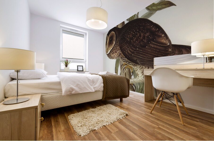 Sooty Owl Strix tenebricosus Gould illustrated by Elizabeth Gould 1804–1841 for John Gould’s 1804-1881 Birds of Australia  Mural print