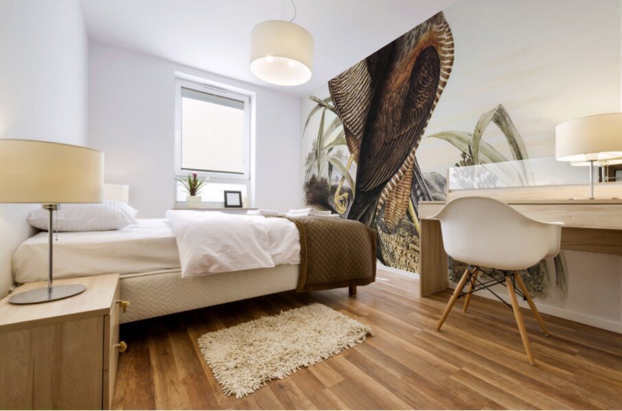 Australian Goshawk Astur approximans illustrated by Elizabeth Gould 1804–1841 for John Gould’s 1804-1881 Birds of Australia  Mural print