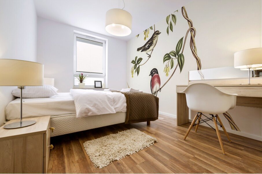 Rose-breasted Wood-robin Erythrodryas rosea illustrated by Elizabeth Gould 1804–1841 for John Gould’s 1804-1881 Birds of Australia  Mural print