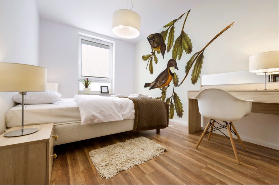 Lunated Pachycephala Pachycephala falcata illustrated by Elizabeth Gould 1804–1841 for John Gould’s 1804-1881 Birds of Australia  Mural print