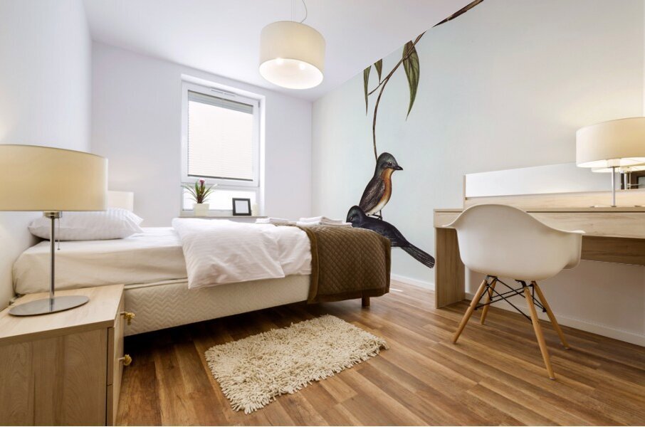 Plumbeous Flycatcher Myiagra plumbea illustrated by Elizabeth Gould 1804–1841 for John Gould’s 1804-1881 Birds of Australia  Mural print