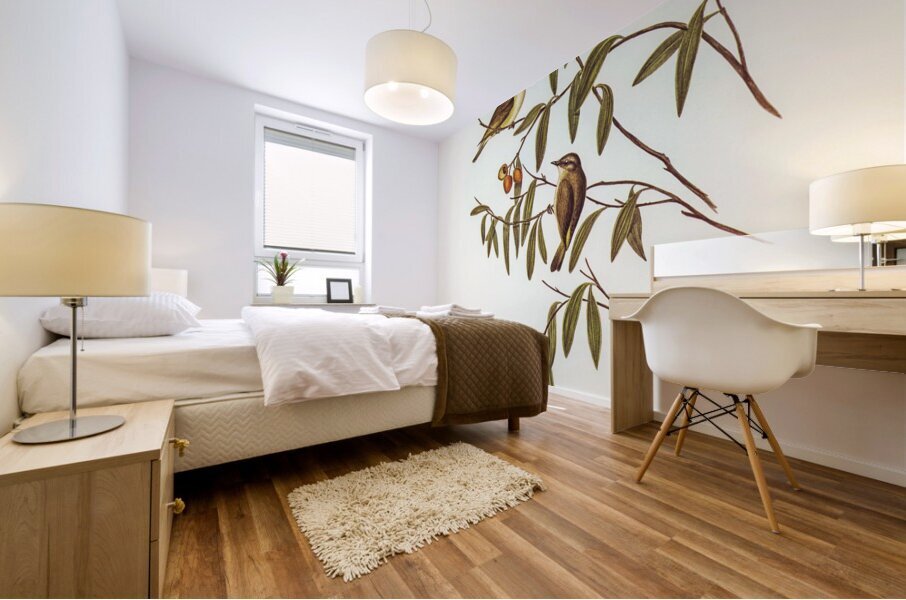 Green-backed Gerygone Gerygone chloronotus illustrated by Elizabeth Gould 1804–1841 for John Gould’s 1804-1881 Birds of Australia  Mural print