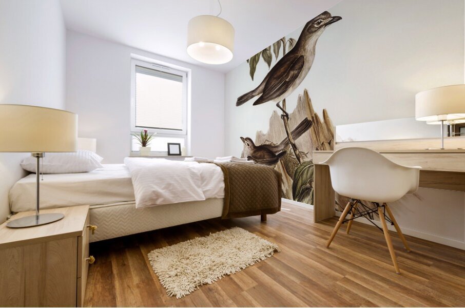 Harmonious Colluricincla Colluricincla harmonica illustrated by Elizabeth Gould 1804–1841 for John Gould’s 1804-1881 Birds of Australia  Mural print