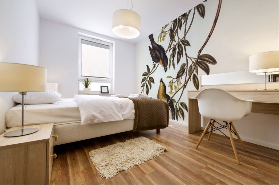 Broad-billed Flycatcher Myiagra latirostris illustrated by Elizabeth Gould 1804–1841 for John Gould’s 1804-1881 Birds of Australia  Mural print