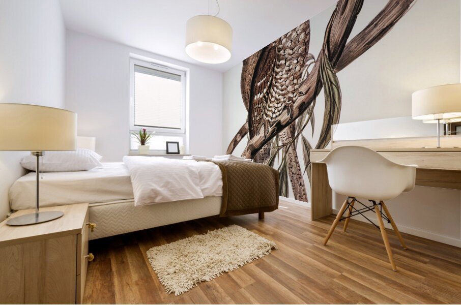 Plumed Podargus Podargus plumiferus illustrated by Elizabeth Gould 1804–1841 for John Gould’s 1804-1881 Birds of Australia  Mural print