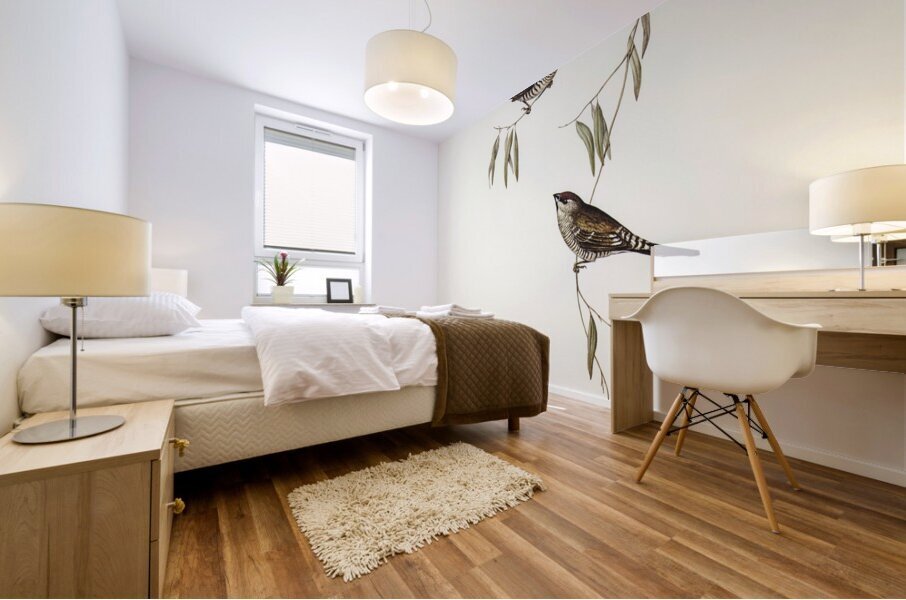 Plain-coloured Finch Amadina modesta illustrated by Elizabeth Gould 1804–1841 for John Gould’s 1804-1881 Birds of Australia  Mural print