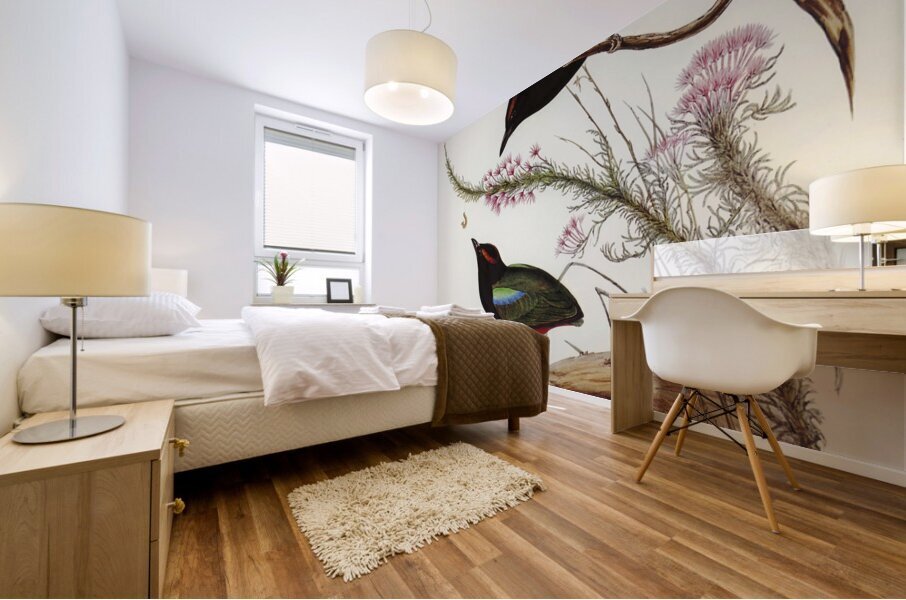 Rainbow Pitta Pitta Iris illustrated by Elizabeth Gould 1804–1841 for John Gould’s 1804-1881 Birds of Australia  Mural print