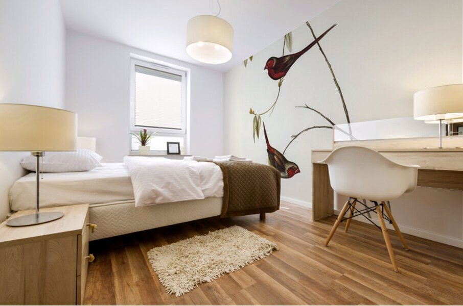 Crimson Finch Estrelda Phaeton illustrated by Elizabeth Gould 1804–1841 for John Gould’s 1804-1881 Birds of Australia  Mural print