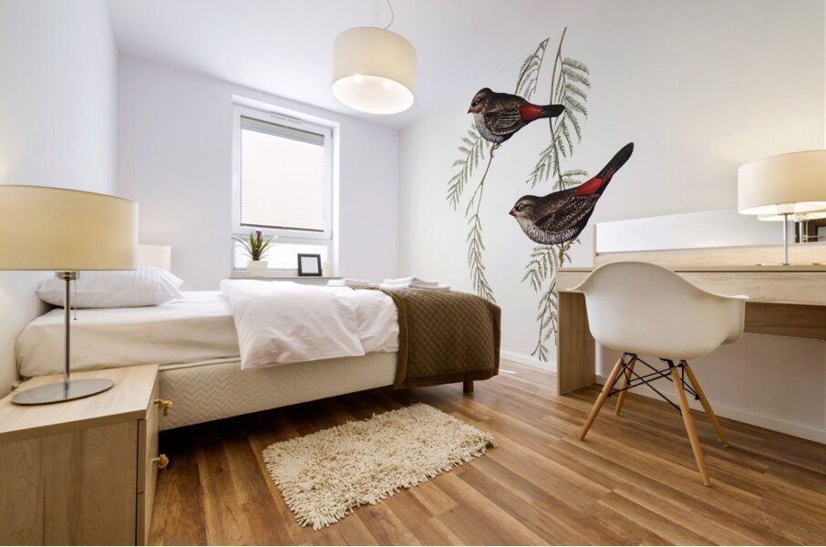 Fire-tailed Finch illustrated by Elizabeth Gould 1804–1841 for John Gould’s 1804-1881 Birds of Australia  Mural print