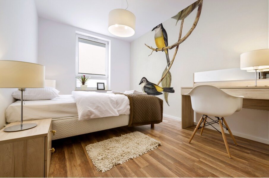 Grey-breasted Robin Eopsaltria griseogularis illustrated by Elizabeth Gould 1804–1841 for John Gould’s 1804-1881 Birds of Australia  Mural print